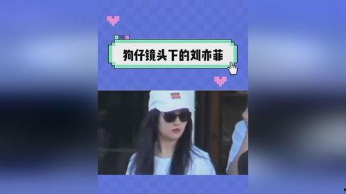 吃瓜娱乐视频网站  第3张