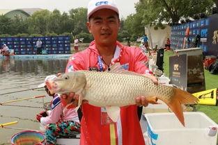 娱乐吃瓜遛鸟大师是谁,揭秘娱乐圈幕后风云人物  第2张