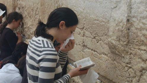 娱乐吃瓜君变形记  第2张